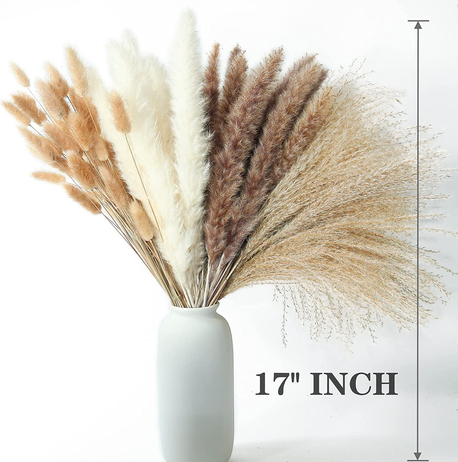 Dried Pampas Grass Decoration, 100 Pieces of Pampas Grass with Bunny Tails Dried Flowers, Reed Grass Bouquet for Wedding Boho Flowers and Home Table Decoration, Rustic Farmhouse Party