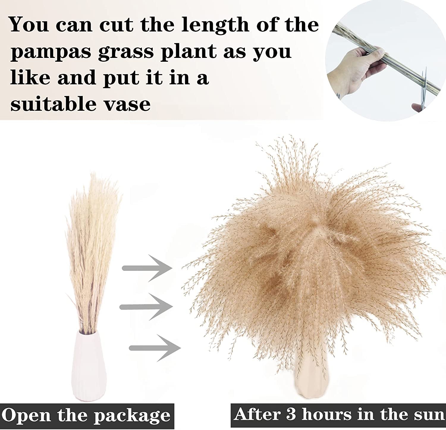 Dried Pampas Grass Decoration, 100 Pieces of Pampas Grass with Bunny Tails Dried Flowers, Reed Grass Bouquet for Wedding Boho Flowers and Home Table Decoration, Rustic Farmhouse Party
